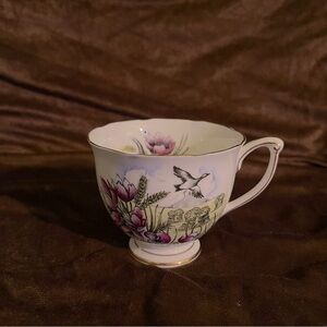 Queen Anne Bone China teacup